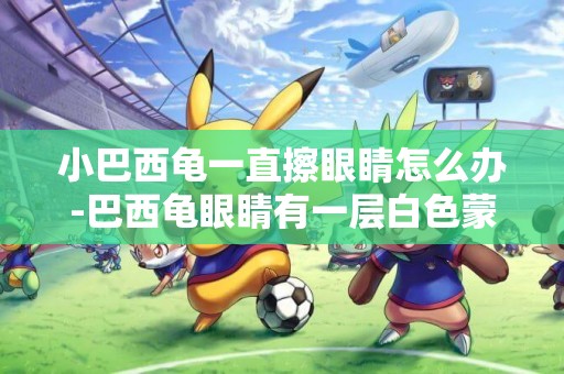 小巴西龜一直擦眼睛怎么辦-巴西龜眼睛有一層白色蒙子怎么辦