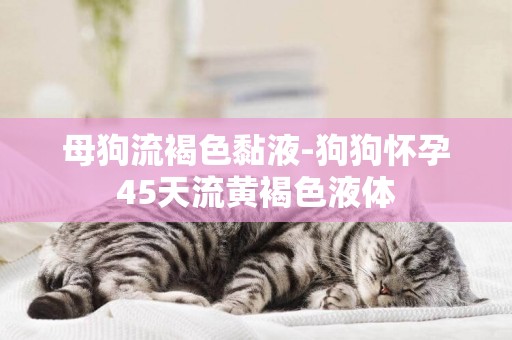 母狗流褐色黏液-狗狗懷孕45天流黃褐色液體