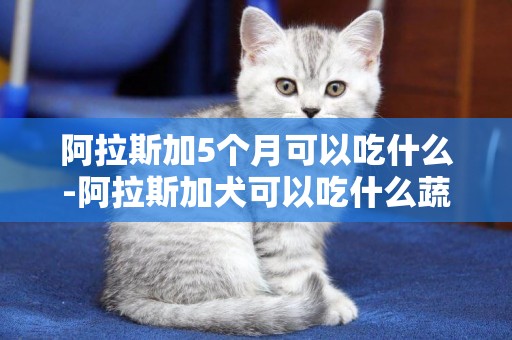 阿拉斯加5個月可以吃什么-阿拉斯加犬可以吃什么蔬菜