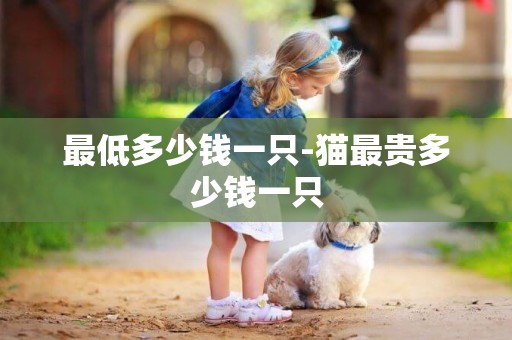 最低多少錢一只-貓最貴多少錢一只