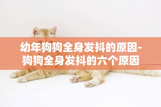 幼年狗狗全身發抖的原因-狗狗全身發抖的六個原因