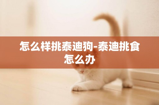 怎么樣挑泰迪狗-泰迪挑食怎么辦