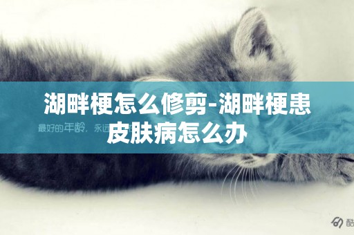 湖畔梗怎么修剪-湖畔梗患皮膚病怎么辦