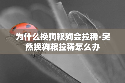 為什么換狗糧狗會拉稀-突然換狗糧拉稀怎么辦