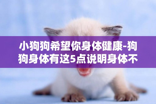 小狗狗希望你身體健康-狗狗身體有這5點說明身體不健康