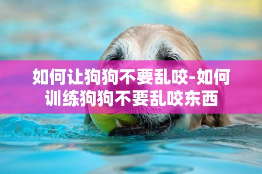 如何讓狗狗不要亂咬-如何訓練狗狗不要亂咬東西