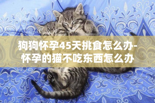狗狗懷孕45天挑食怎么辦-懷孕的貓不吃東西怎么辦