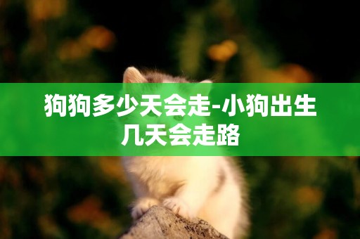 狗狗多少天會走-小狗出生幾天會走路