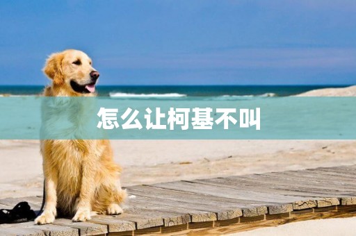 怎么讓柯基不叫