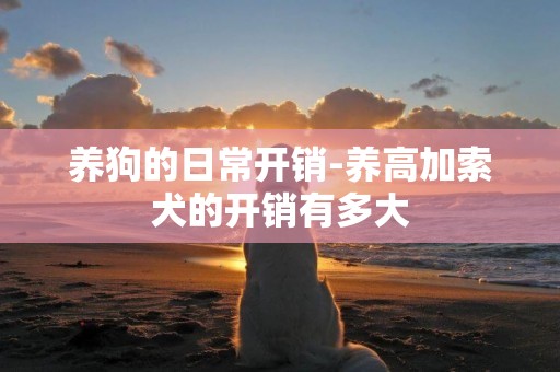 養狗的日常開銷-養高加索犬的開銷有多大