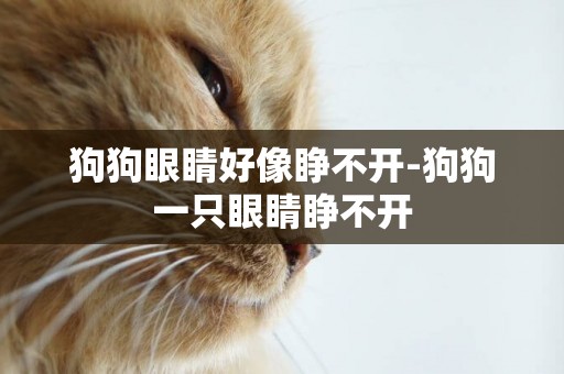 狗狗眼睛好像睜不開-狗狗一只眼睛睜不開