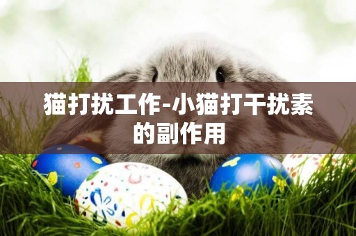 貓打擾工作-小貓打干擾素的副作用