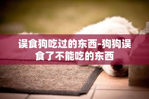 誤食狗吃過的東西-狗狗誤食了不能吃的東西