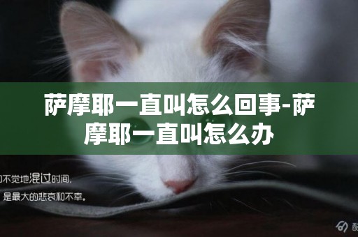 薩摩耶一直叫怎么回事-薩摩耶一直叫怎么辦