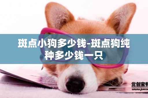 斑點小狗多少錢-斑點狗純種多少錢一只