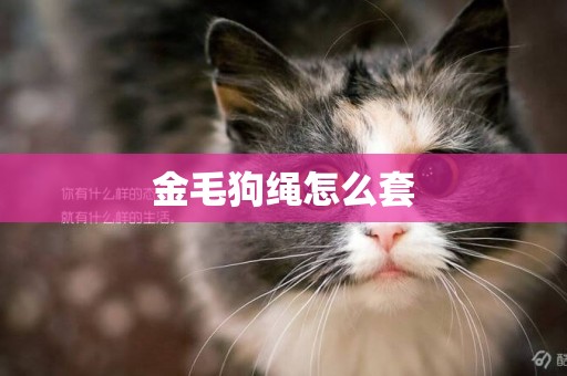 金毛狗繩怎么套