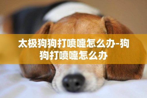 太極狗狗打噴嚏怎么辦-狗狗打噴嚏怎么辦