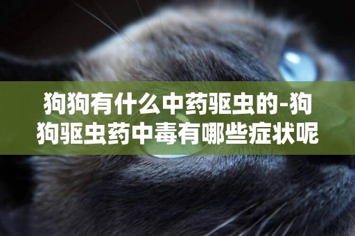 狗狗有什么中藥驅蟲的-狗狗驅蟲藥中毒有哪些癥狀呢