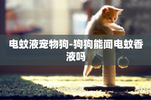 電蚊液寵物狗-狗狗能聞電蚊香液嗎