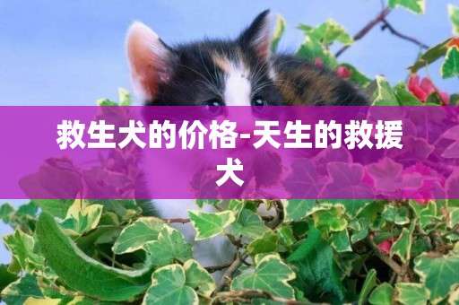 救生犬的價格-天生的救援犬
