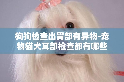 狗狗檢查出胃部有異物-寵物貓犬耳部檢查都有哪些