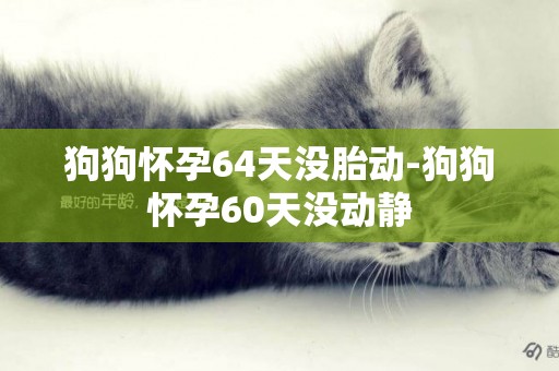 狗狗懷孕64天沒胎動-狗狗懷孕60天沒動靜