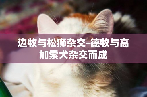 邊牧與松獅雜交-德牧與高加索犬雜交而成