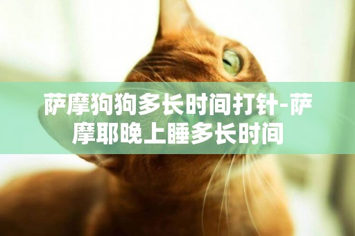 薩摩狗狗多長時間打針-薩摩耶晚上睡多長時間