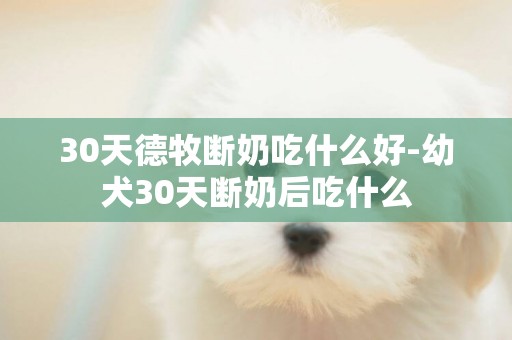 30天德牧斷奶吃什么好-幼犬30天斷奶后吃什么