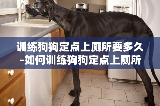 訓練狗狗定點上廁所要多久-如何訓練狗狗定點上廁所