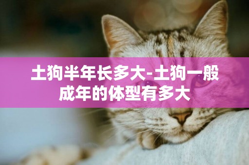 土狗半年長多大-土狗一般成年的體型有多大