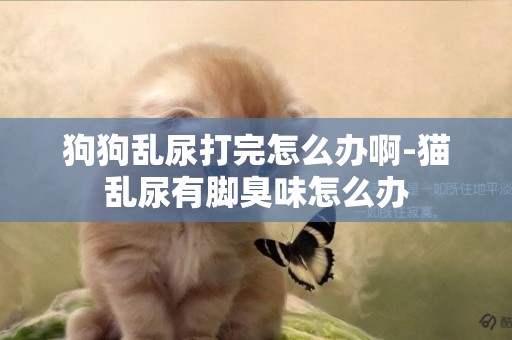狗狗亂尿打完怎么辦啊-貓亂尿有腳臭味怎么辦