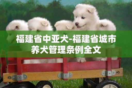 福建省中亞犬-福建省城市養犬管理條例全文
