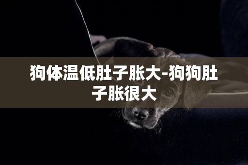 狗體溫低肚子脹大-狗狗肚子脹很大