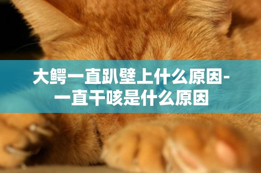 大鱷一直趴壁上什么原因-一直干咳是什么原因