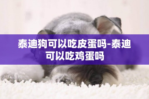 泰迪狗可以吃皮蛋嗎-泰迪可以吃雞蛋嗎