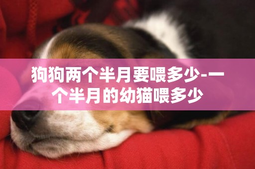 狗狗兩個半月要喂多少-一個半月的幼貓喂多少
