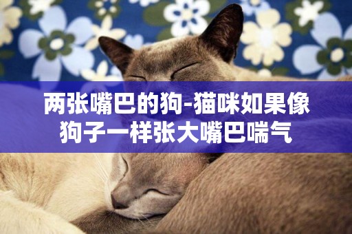 兩張嘴巴的狗-貓咪如果像狗子一樣張大嘴巴喘氣