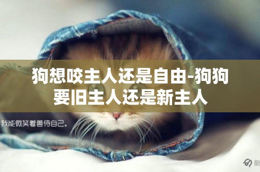 狗想咬主人還是自由-狗狗要舊主人還是新主人