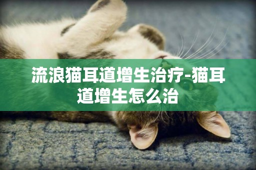 流浪貓耳道增生治療-貓耳道增生怎么治