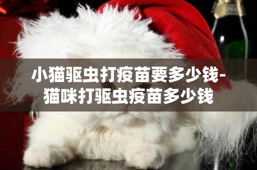 小貓驅蟲打疫苗要多少錢-貓咪打驅蟲疫苗多少錢