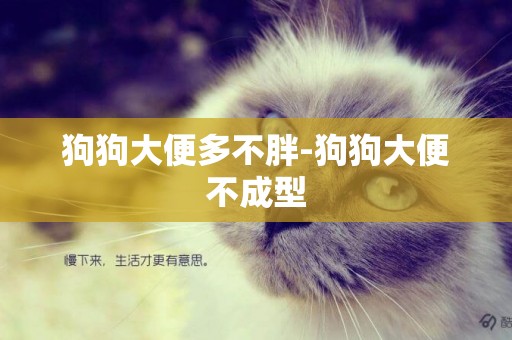 狗狗大便多不胖-狗狗大便不成型