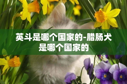 英斗是哪個國家的-臘腸犬是哪個國家的