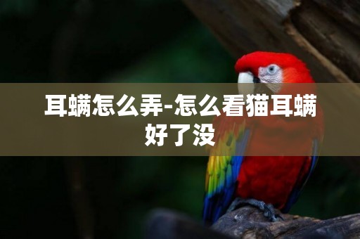 耳螨怎么弄-怎么看貓耳螨好了沒