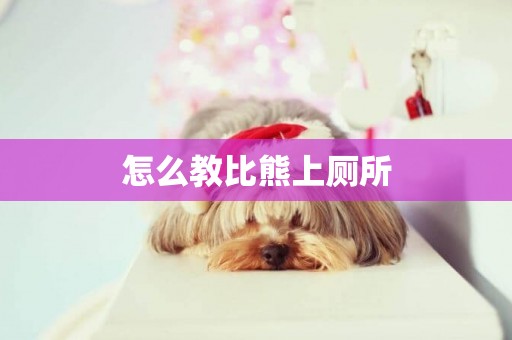 怎么教比熊上廁所