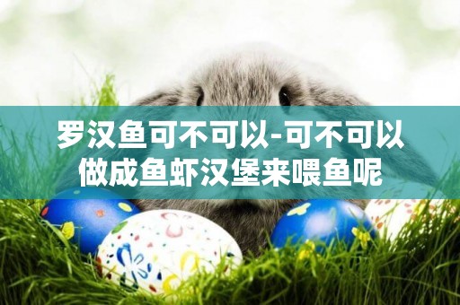 羅漢魚可不可以-可不可以做成魚蝦漢堡來喂魚呢