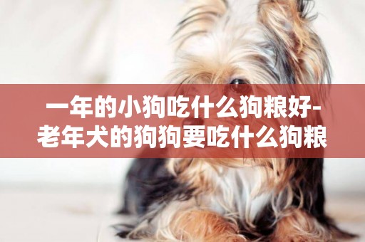 一年的小狗吃什么狗糧好-老年犬的狗狗要吃什么狗糧好