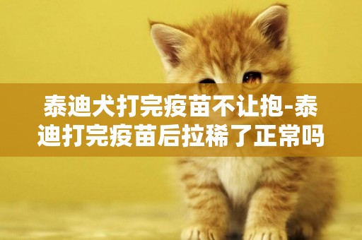 泰迪犬打完疫苗不讓抱-泰迪打完疫苗后拉稀了正常嗎
