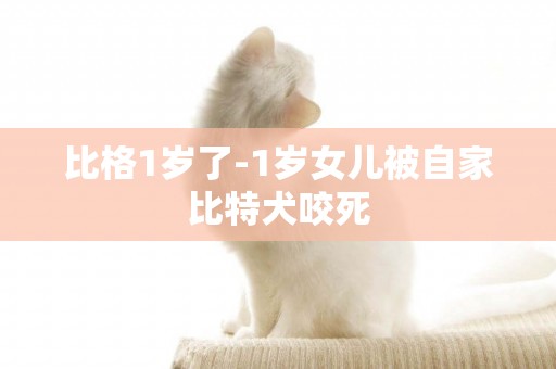 比格1歲了-1歲女兒被自家比特犬咬死