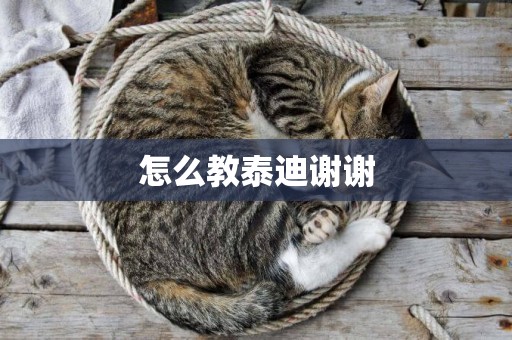 怎么教泰迪謝謝